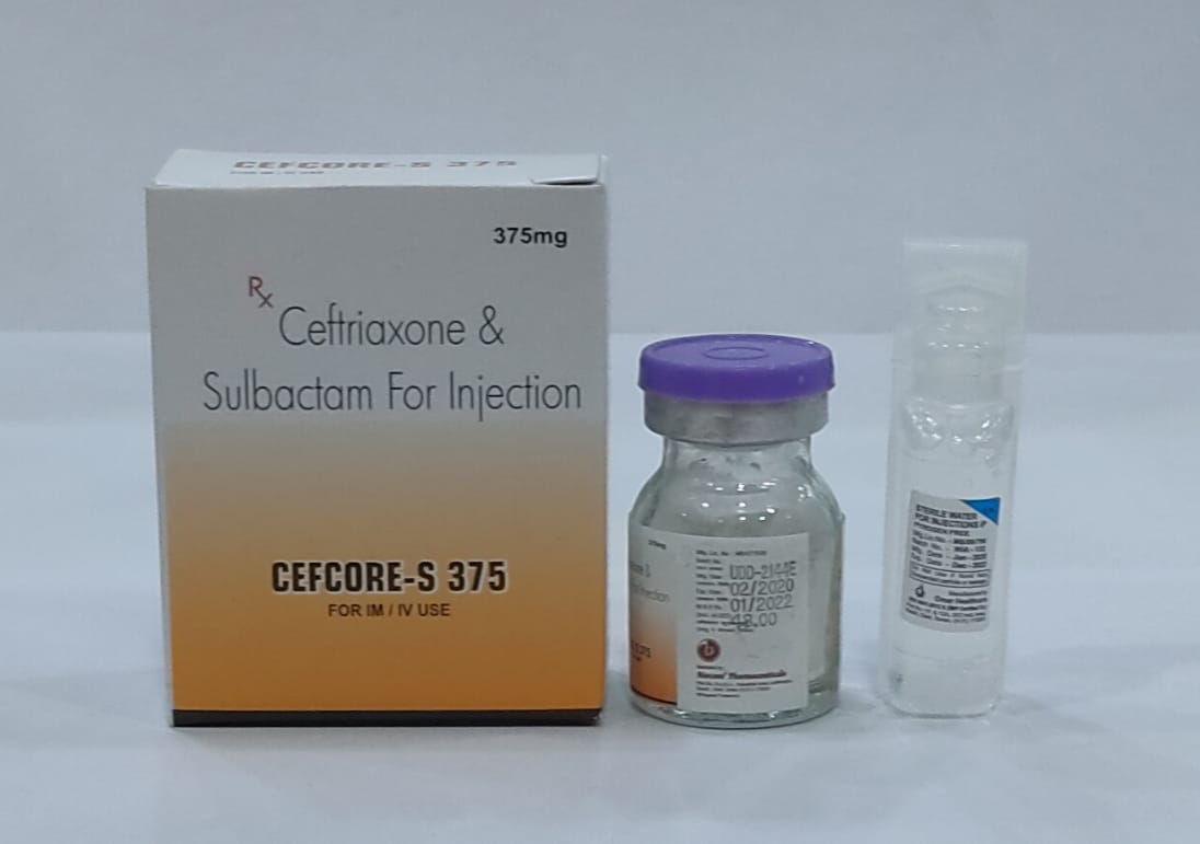 CEFCORE-S 375 Injection